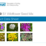 PDS_MedO_S1-Wildflower-Seed-Mix-JAN-2021