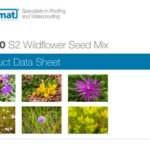 PDS_MedO_S2-Wildflower-Seed-Mix-JAN-2021